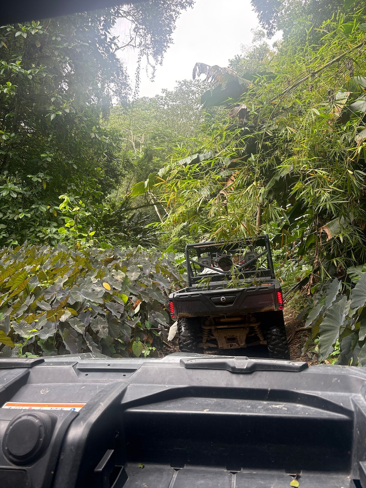 Sortie en buggy dans le nord de la Martinique
