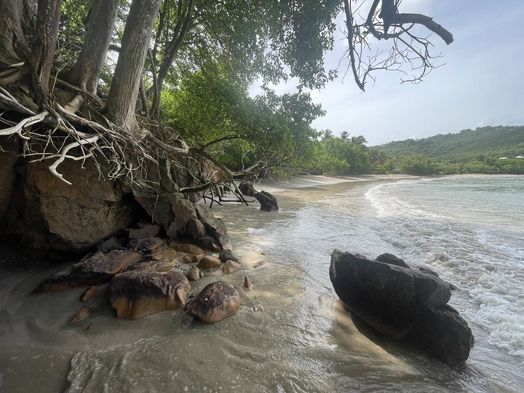 Plage sauvage bordée de végétation en Martinique