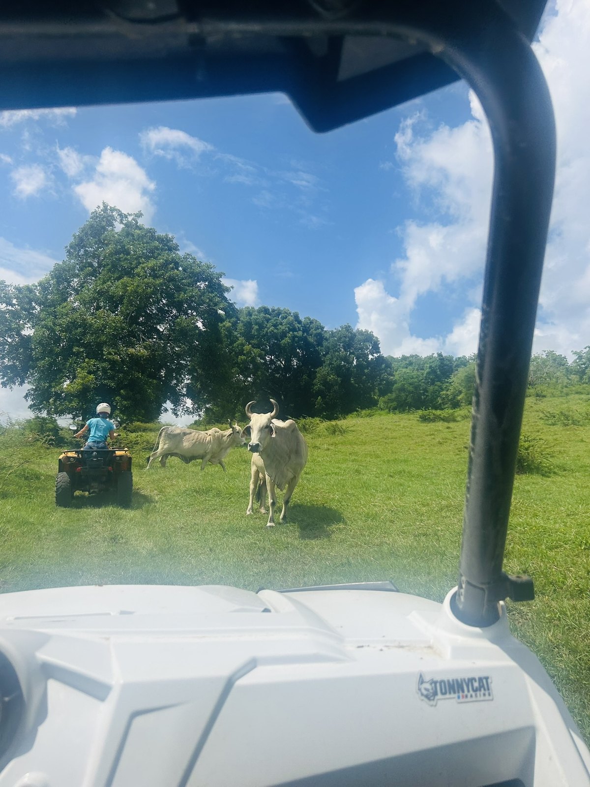 Balade en quad dans la campagne martiniquaise