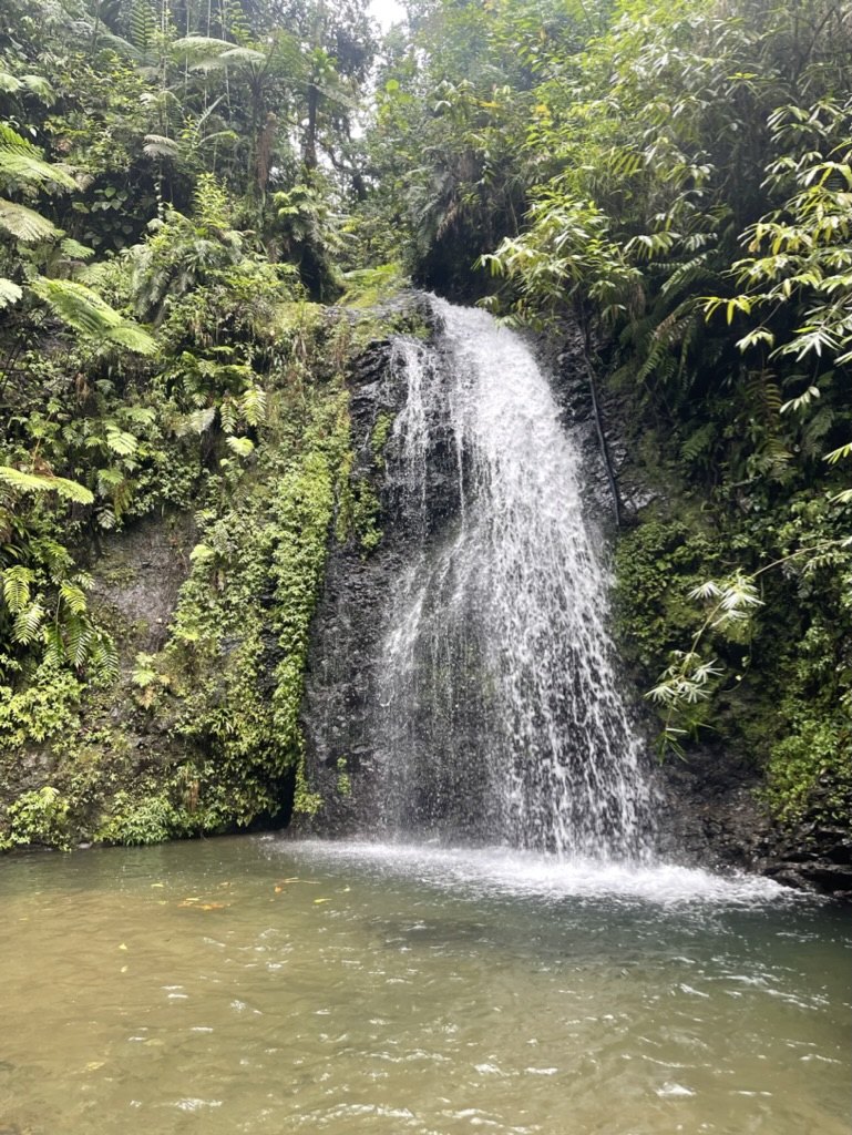 Cascade du Saut du Gendarme en Martinique