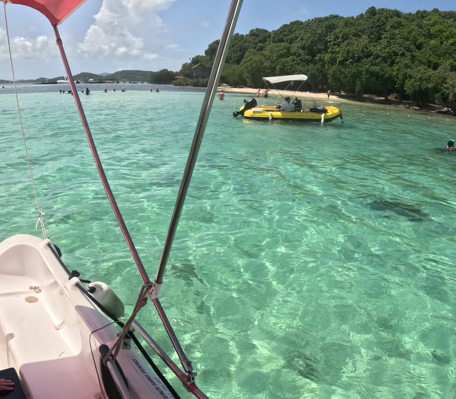 Fonds blancs lors d’une sortie en bateau en Martinique