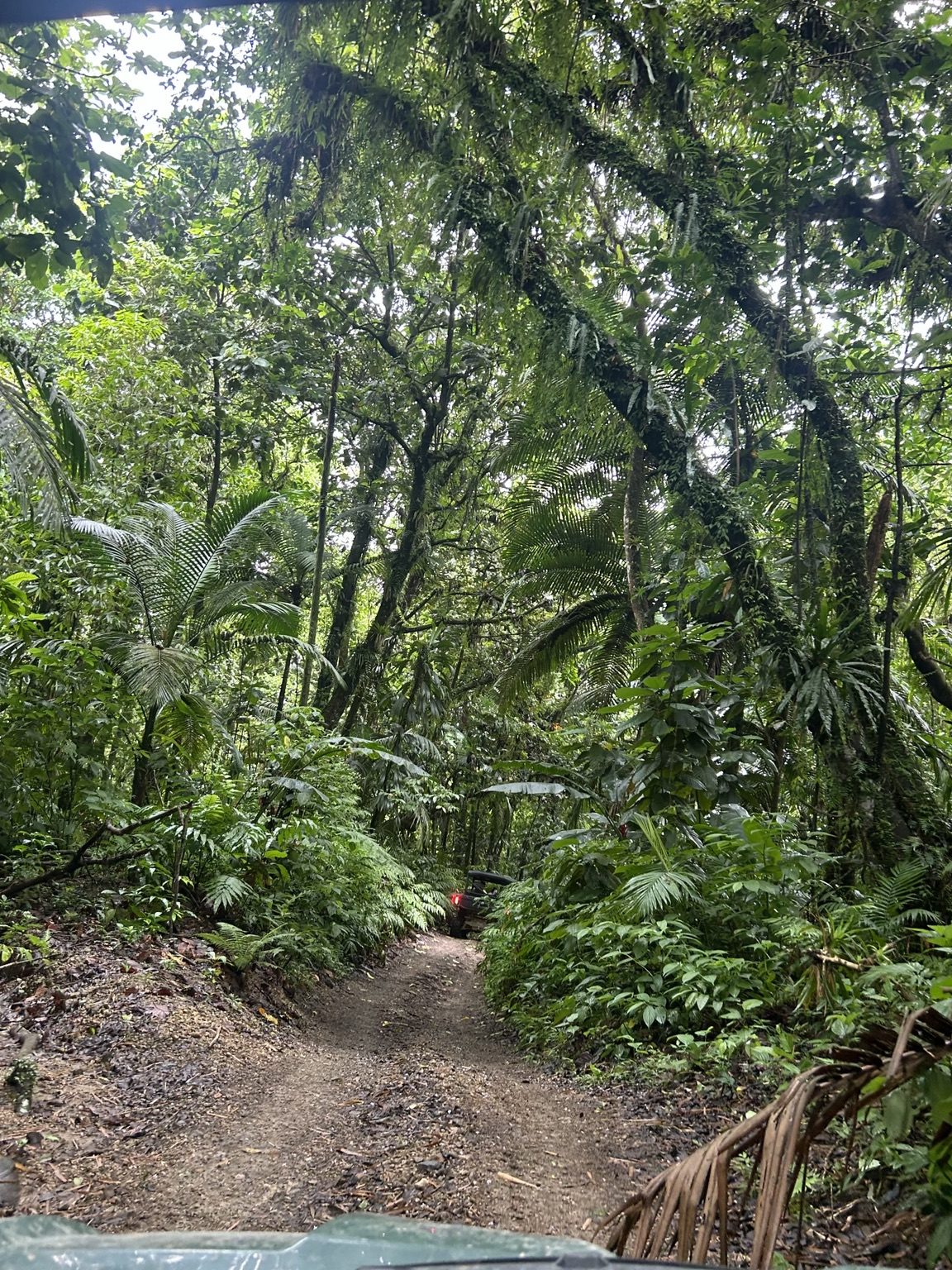 Excursion Trial Caraïbe en buggy dans la forêt tropicale du nord de la Martinique