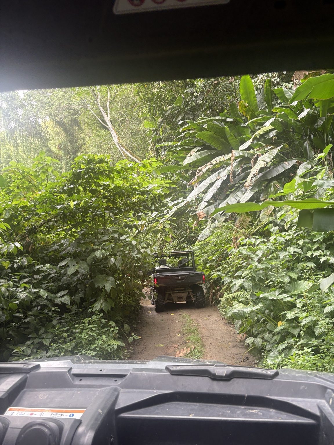 Buggy Trial Caraïbe sur une piste entourée de végétation tropicale