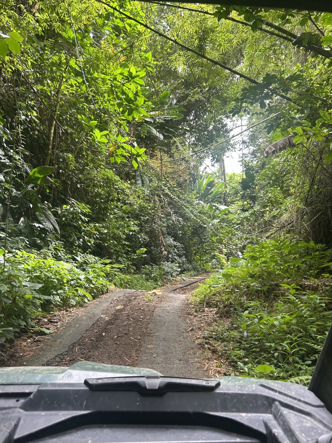 Piste tropicale empruntée pendant une sortie Trial Caraïbe en Martinique